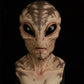 🔥Surprise Idea- 49% OFF🛸Alien Funny Mask