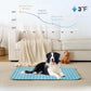 🌞🐱Summer Hot Sale 49% OFF🧊Premium Cooling Mat For Pet🐶