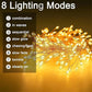 🎄✨LAST DAY SALE 50% OFF!!⚡50K+ SOLD!✨🎁 Copper Wire Firecracker Light String