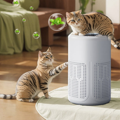 🔇Summer Hot Sale - Up to 70% OFF⚡50K+ SOLD!🎁 Compact home air purifier – 2026 bestseller – Quiet, energy-efficient, and perfect for allergy sufferers, dust, and pet hair 🏠