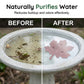 🔥HOT SALE 50% OFF🍁Universal Fit Bird Bath Purifier