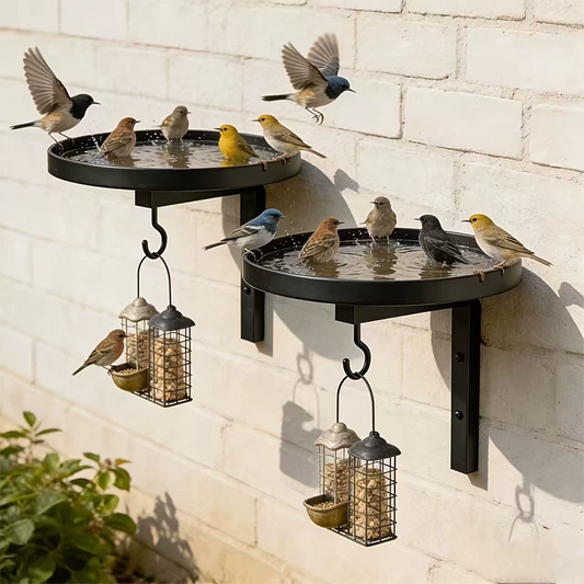 🌸LAST DAY SPECIAL PRICE £9.99!!🌸Wall-Mounted Metal Bird Bath – Antique Bronze Finish 🐦🛁🧱🏡